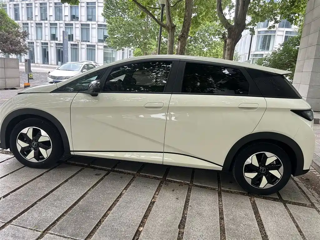 BYD Dolphin 2024 Glory Edition 420km Fashion Edition фото 5
