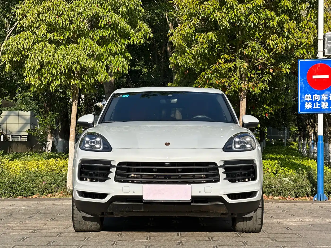 Porsche Cayenne 2023 Cayenne 3.0T Platinum Edition фото 2