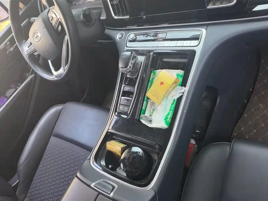 GAC Trumpchi Trumpchi M8 2021 Leading Show Series 390T Luxury Edition фото 16