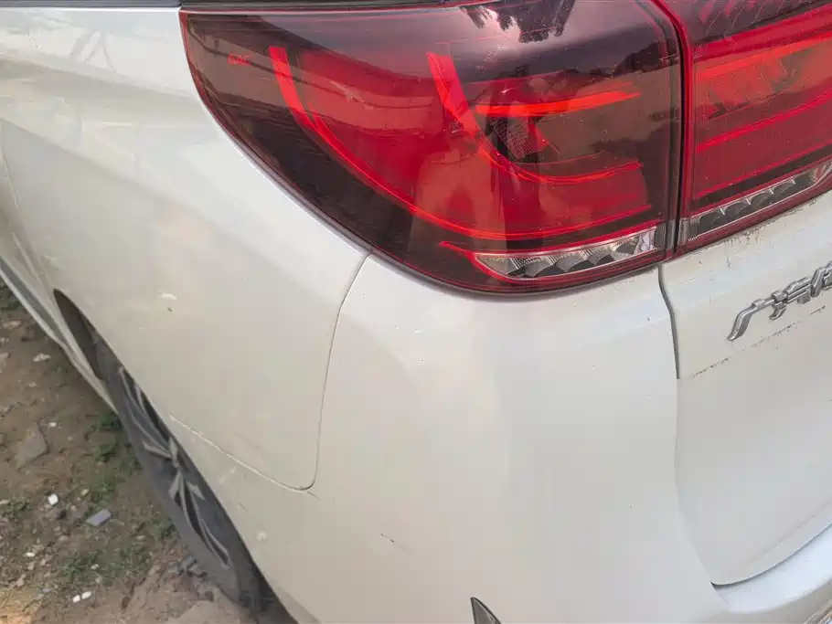GAC Trumpchi Trumpchi M8 2021 Leading Show Series 390T Luxury Edition фото 4