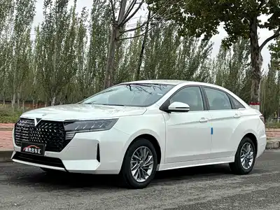 Venucia D60