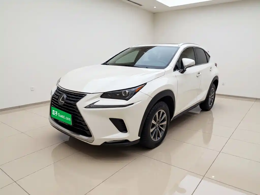 Lexus NX 2020 200 AWD F Sport China V