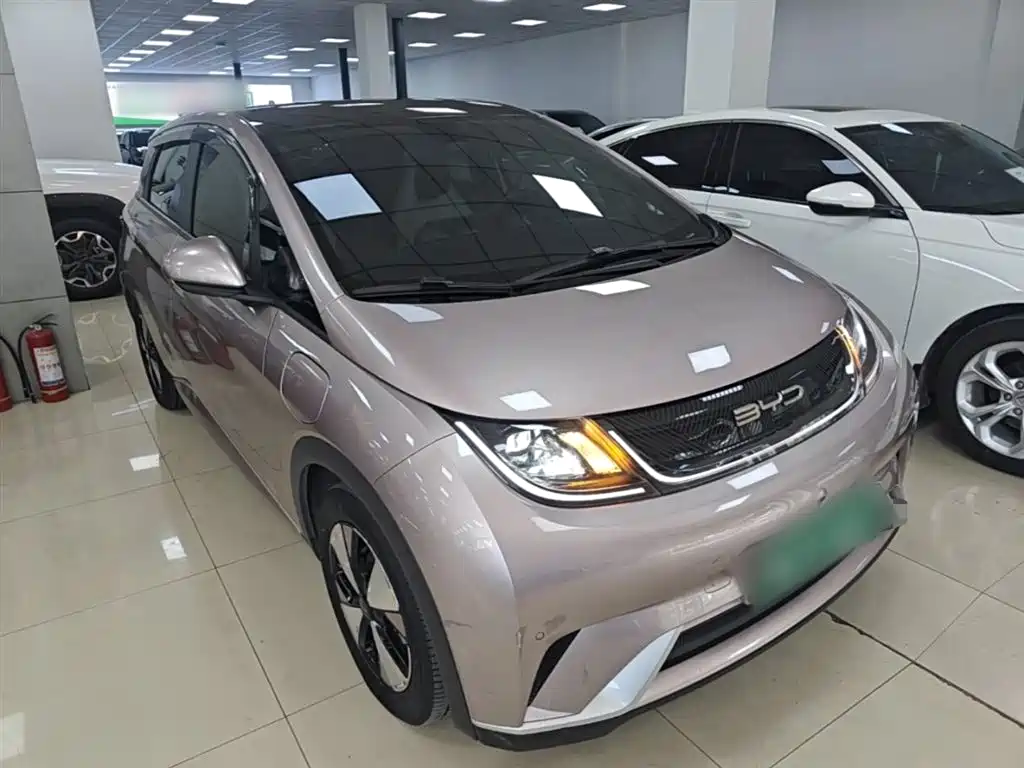 BYD Dolphin 2023 420km Fashion Edition фото 4
