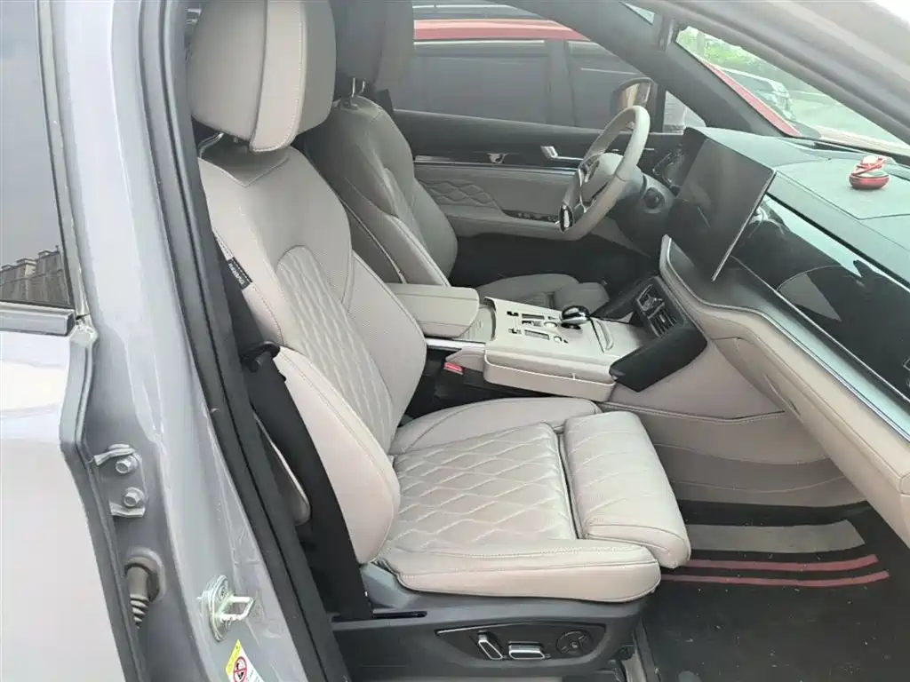 BYD Tang New Energy 2025 DM-i 115KM Flagship фото 25