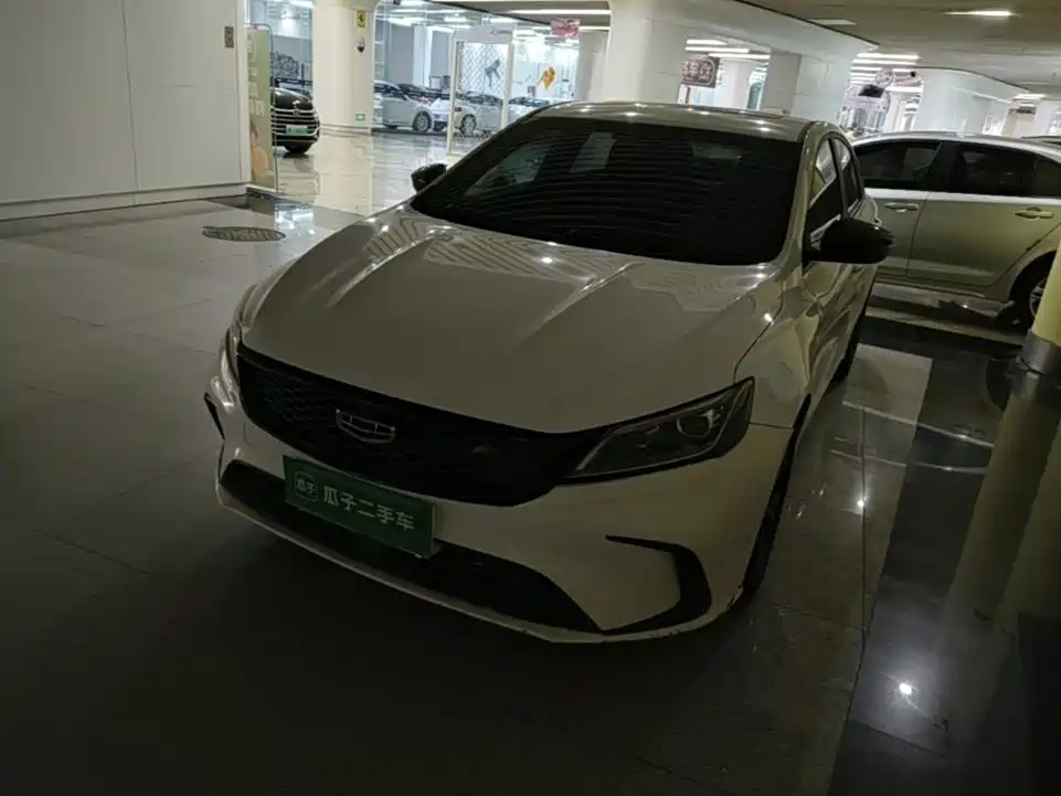 Фото 26 - Geely Binrui