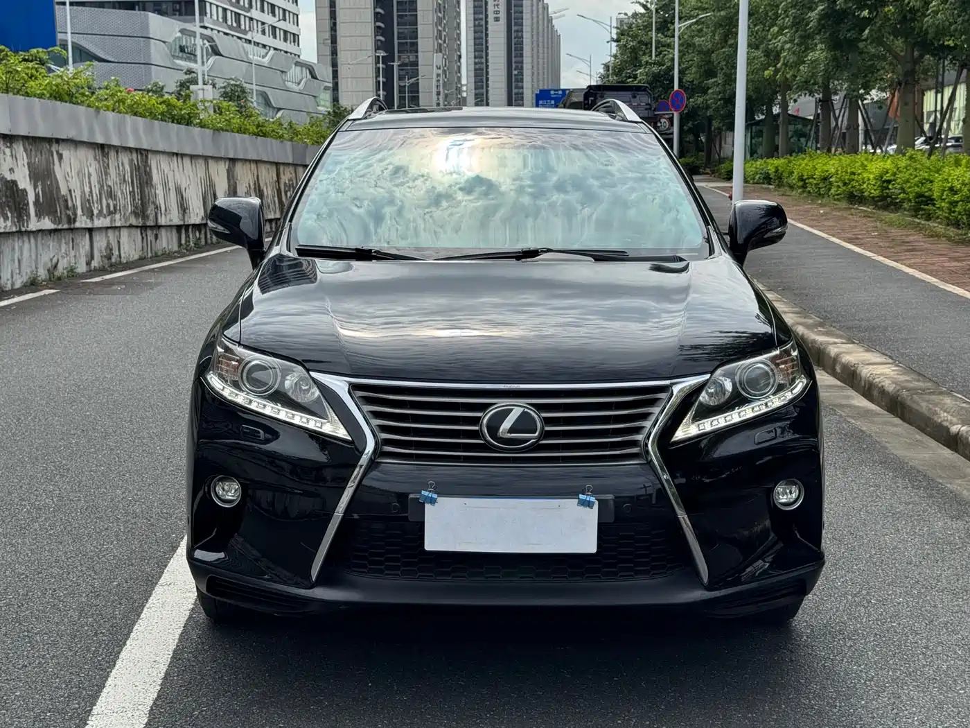 Lexus RX Classic 2014 2013 270 Elite