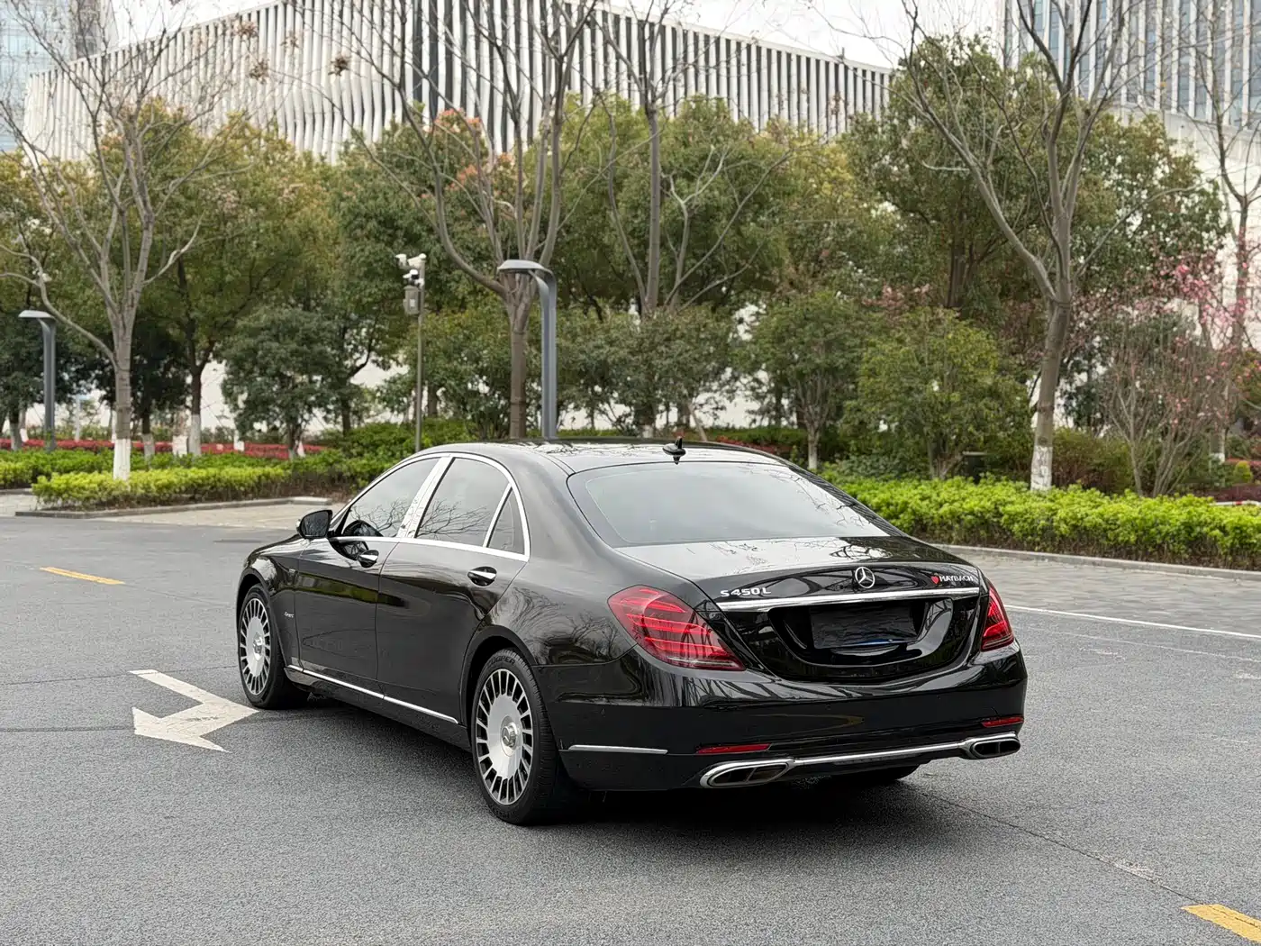 Mercedes-Benz S-Class 2020 S 350 L Business Edition Collector's Version фото 15