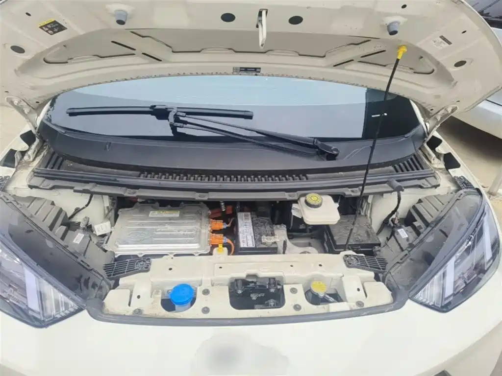 BYD Seagull 2024 Glory Edition 305km Vitality Edition фото 20