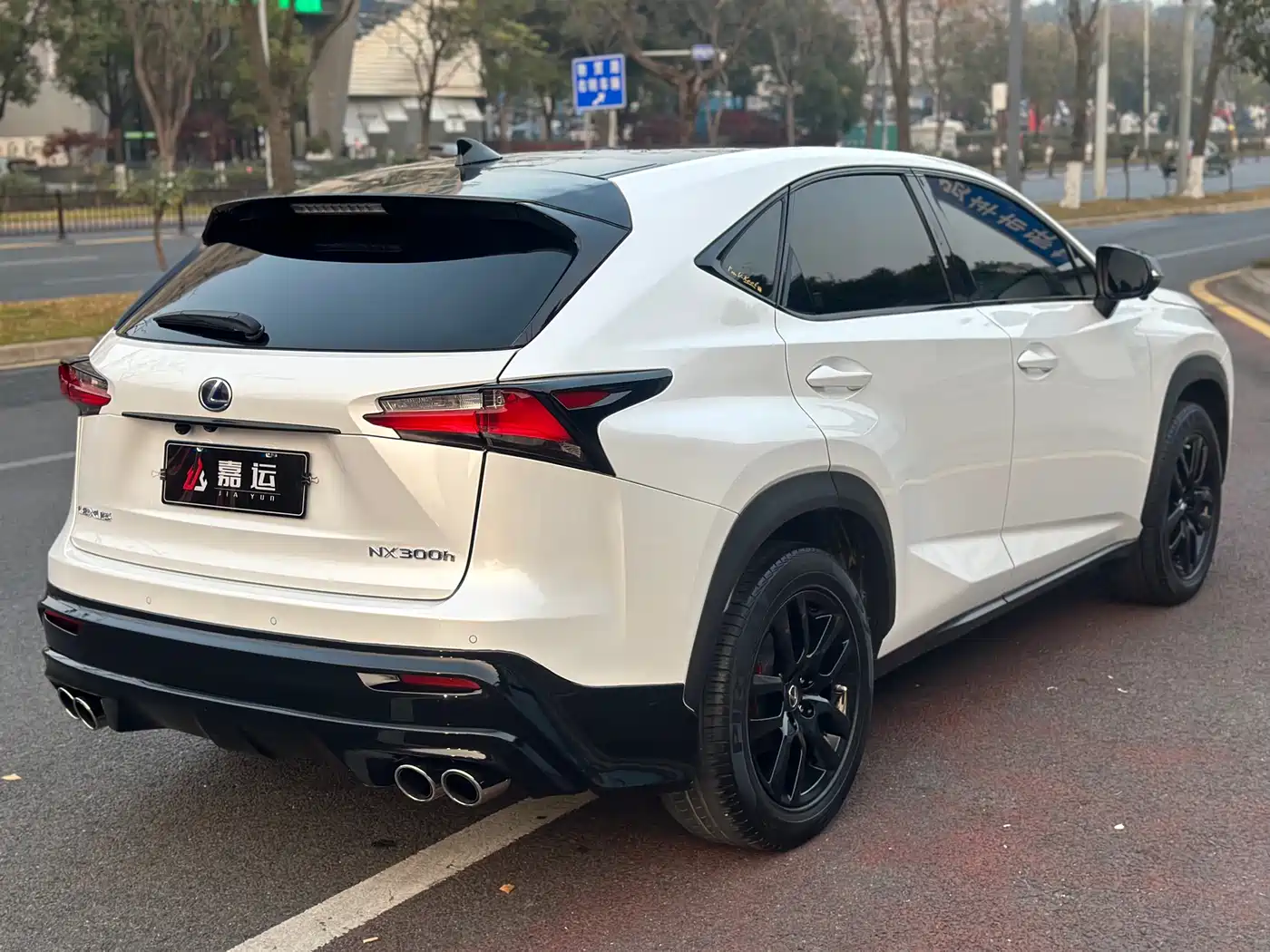 LEXUS NX