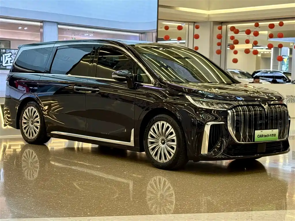 Voyah Auto Voyah Dreamer 2024 PHEV Extended Range Premium Edition фото 11