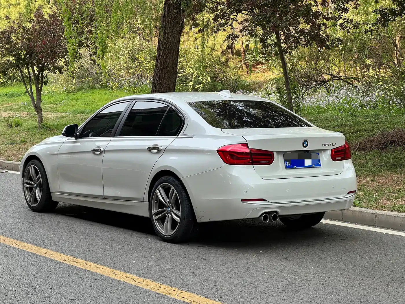 BMW 3 Series 2018 320Li Fashion Style фото 3