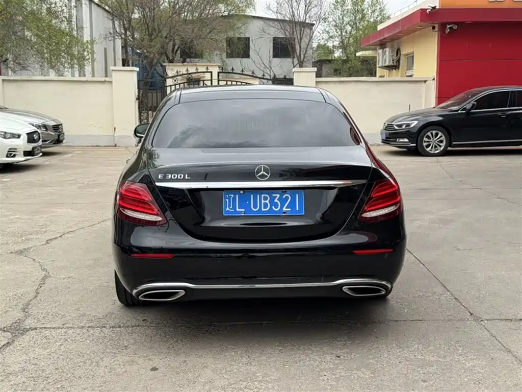 Mercedes-Benz E-Class 2019 Facelift E 300 L Luxury фото 10