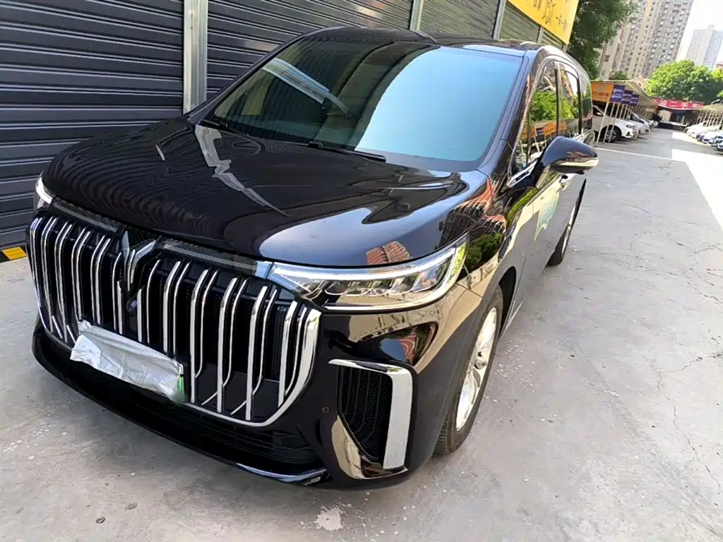 Voyah Auto Voyah Dreamer 2024 PHEV Ultra Long Range Premium Edition