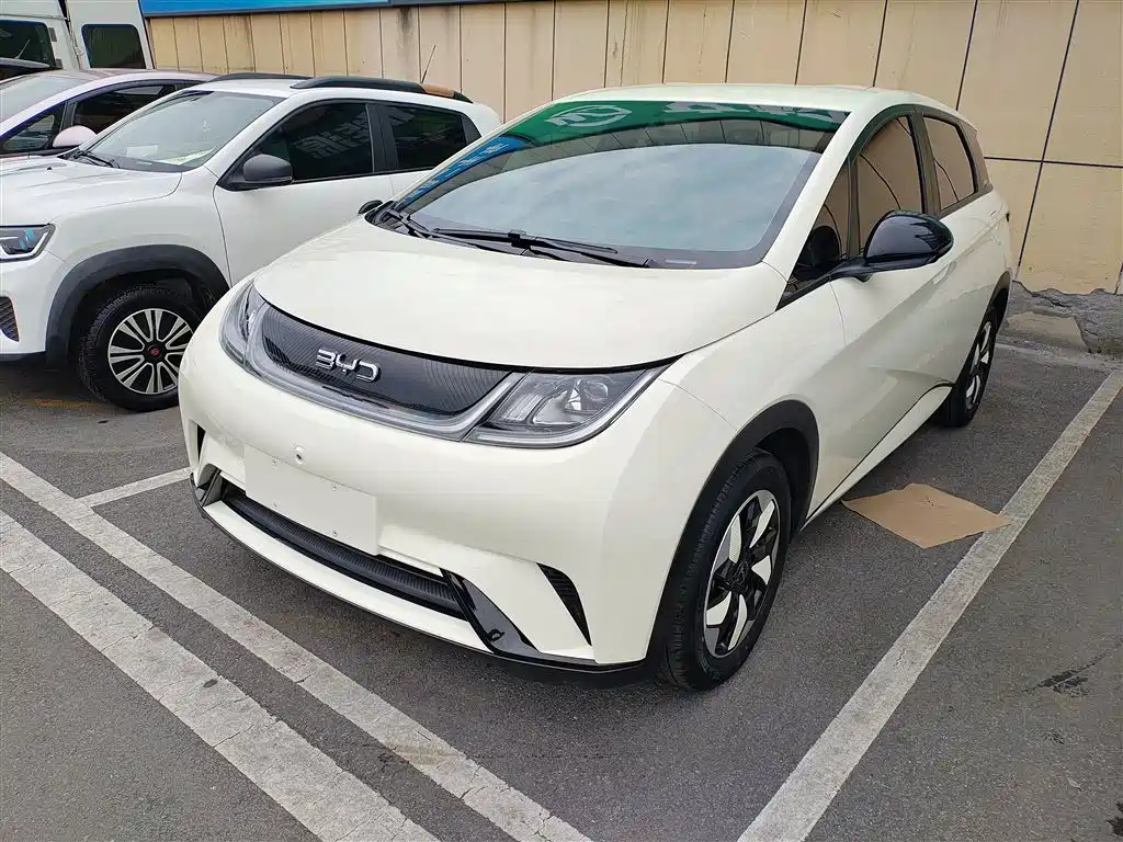 BYD Dolphin 2025 420km Freedom Edition