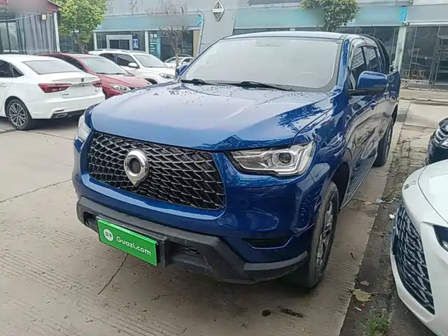 Great Wall Pao 2021