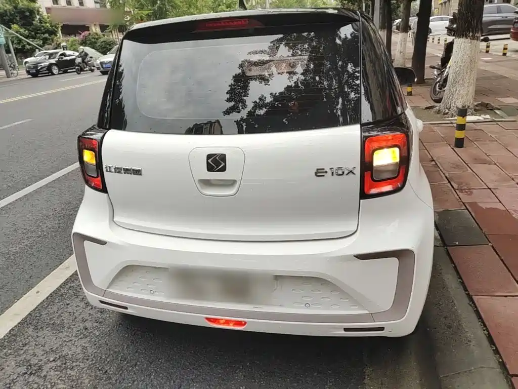 Sehol Flower Fairy 2022 2021 Jimei Edition 302km Luxury