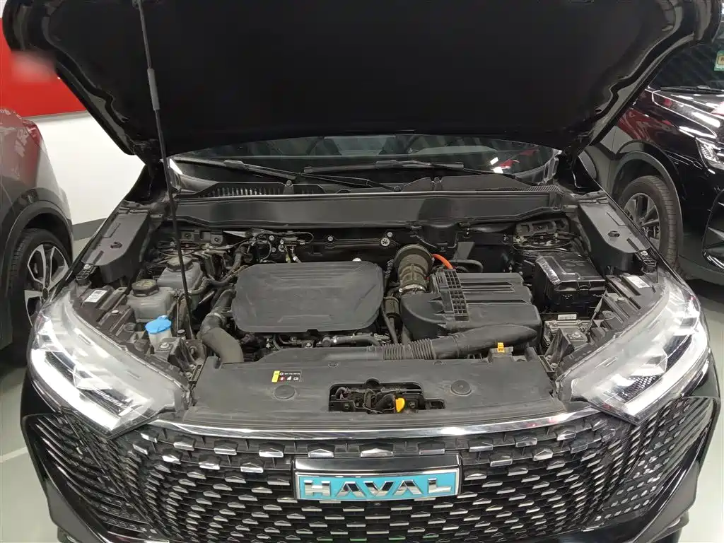 Haval H6 New Energy 2023 DHT-PHEV 55KM Joy Ride Edition фото 16