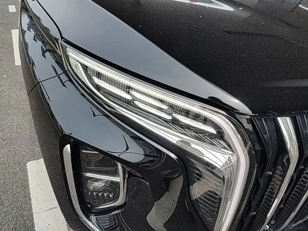 Hongqi HS7 PHEV 2024 2.0T PHEV 4WD Flagship Edition 6-seater фото 13