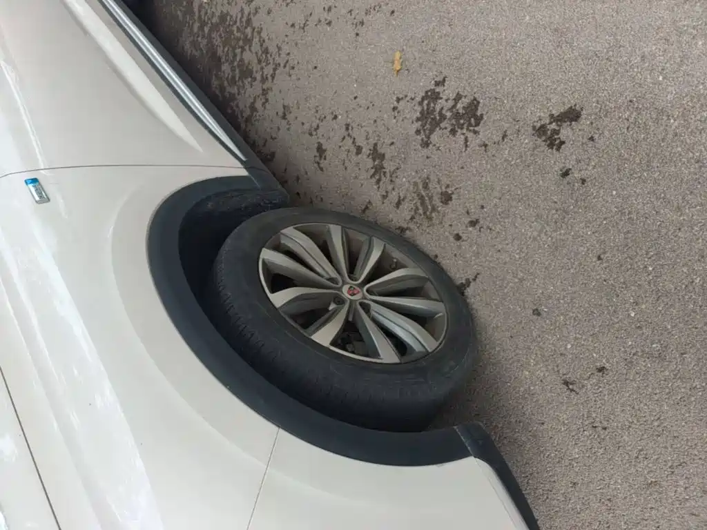 Roewe RX5 MAX 2021 2019 300TGI Automatic 4G Connected Luxury Edition