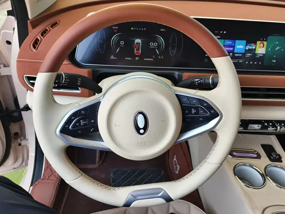 Ora Good Cat 2025 2024 401km Luxury