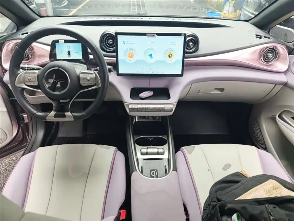 BYD Dolphin 2021 Model 405km Fashion Edition фото 10