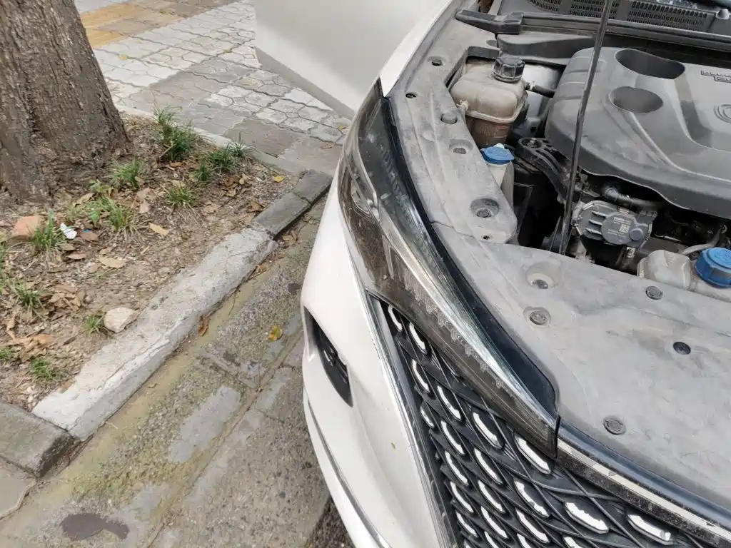 Фото 7 - Changan Eado