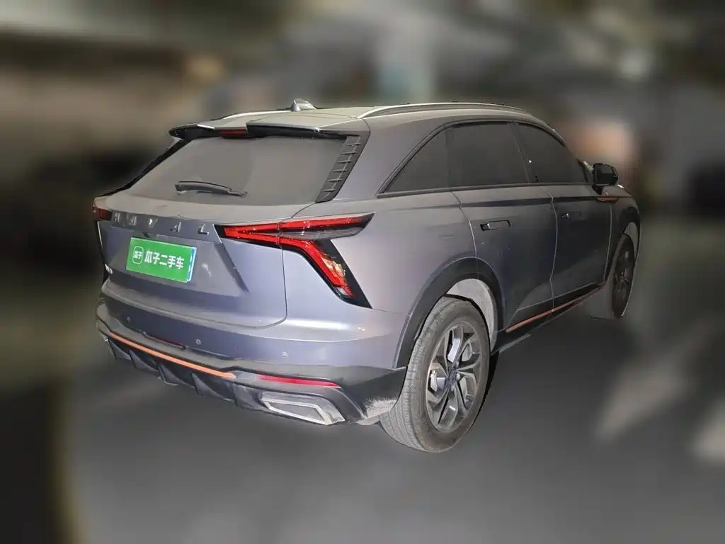 Haval Shenshou 2023 2022 1.5T Smart Enjoyment Edition