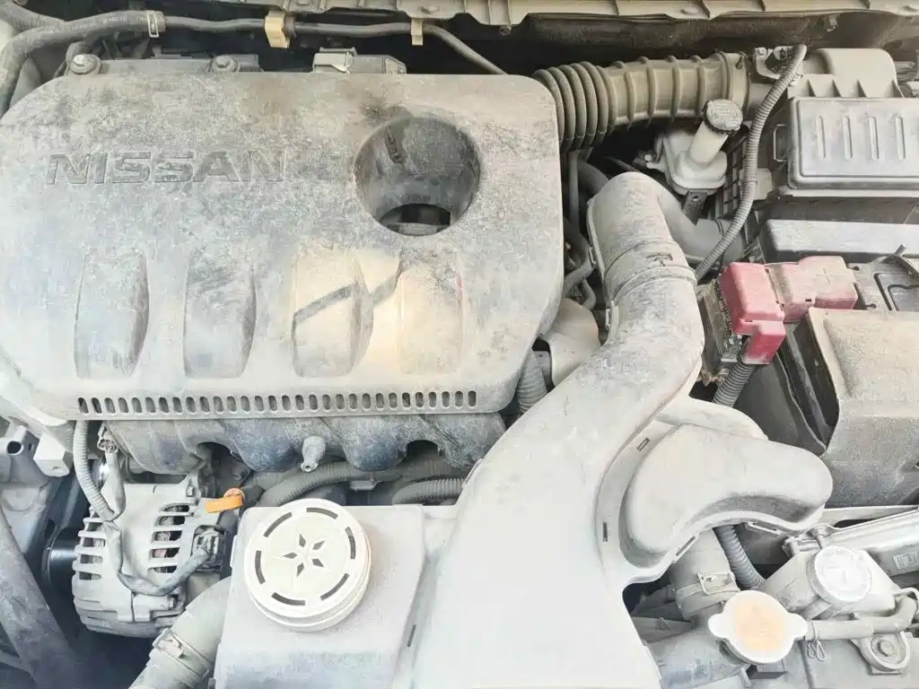 Venucia T60 2019 2018 1.6L CVT Smart Edition China VI