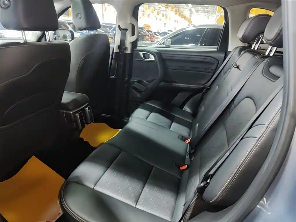 Haval Big Dog 2024 2.0T DCT Chinese Rural Dog Edition фото 17