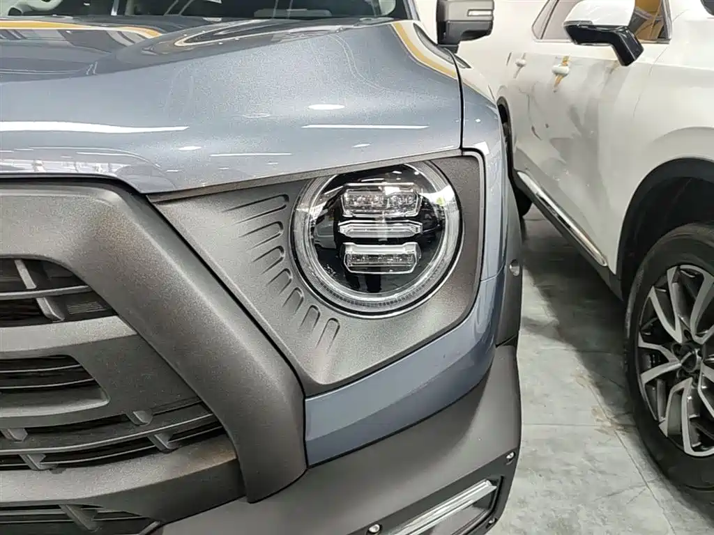 Haval Big Dog 2024 2.0T DCT Chinese Rural Dog Edition фото 24