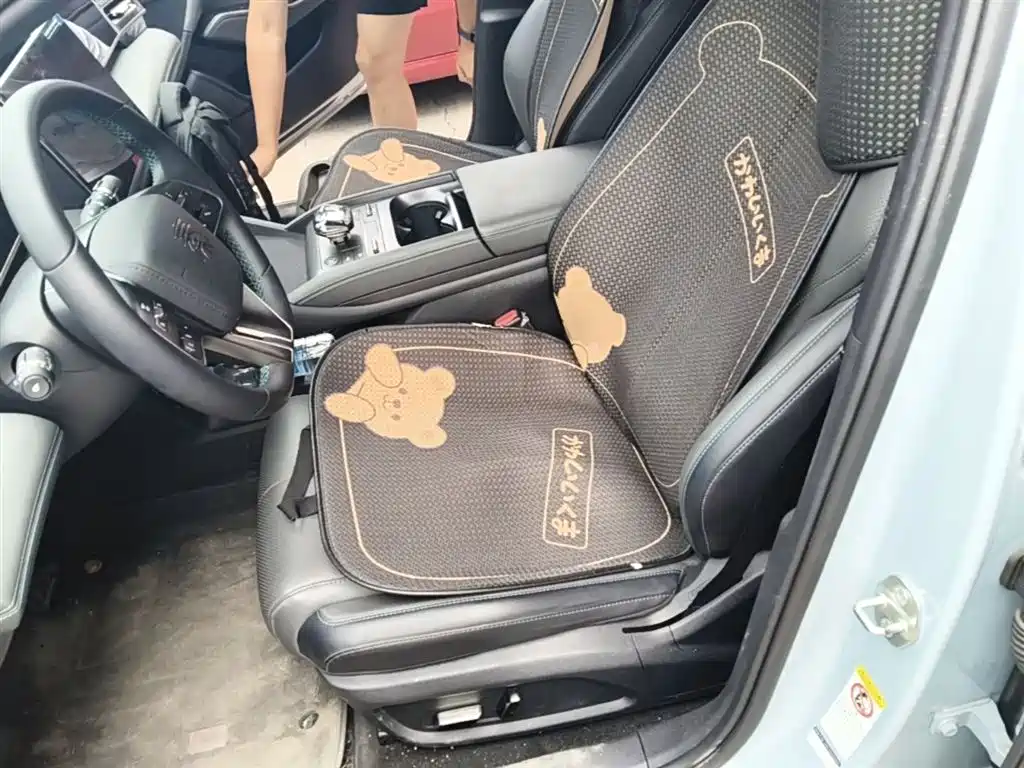 BYD Qin L 2024 DM-i 80KM Superior фото 15
