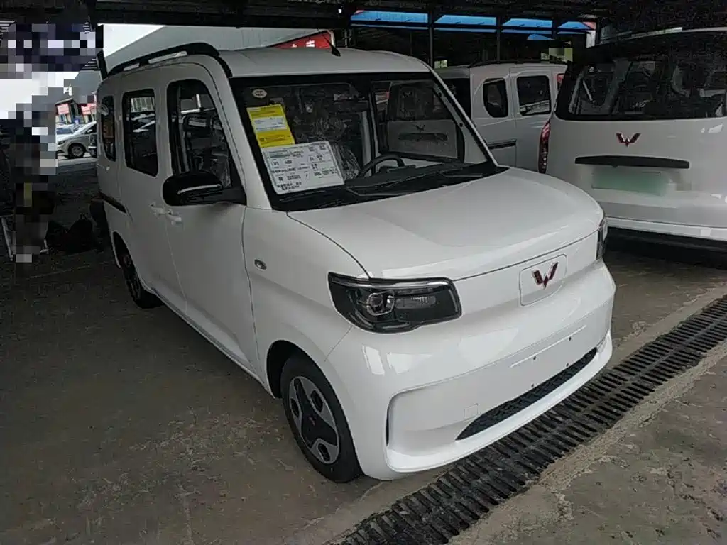 Wuling Motors Wuling Zhiguang NEV 2026 2025 Model 305km Base Version