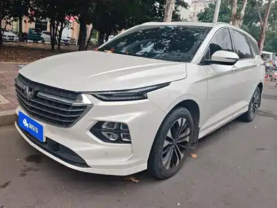 Wuling Victory