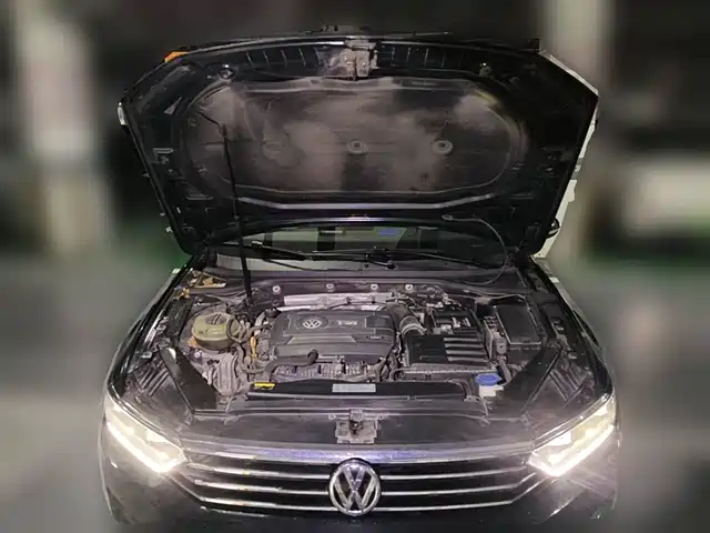 Volkswagen Magotan 2018 Facelift 330TSI DSG Luxury — фото 3