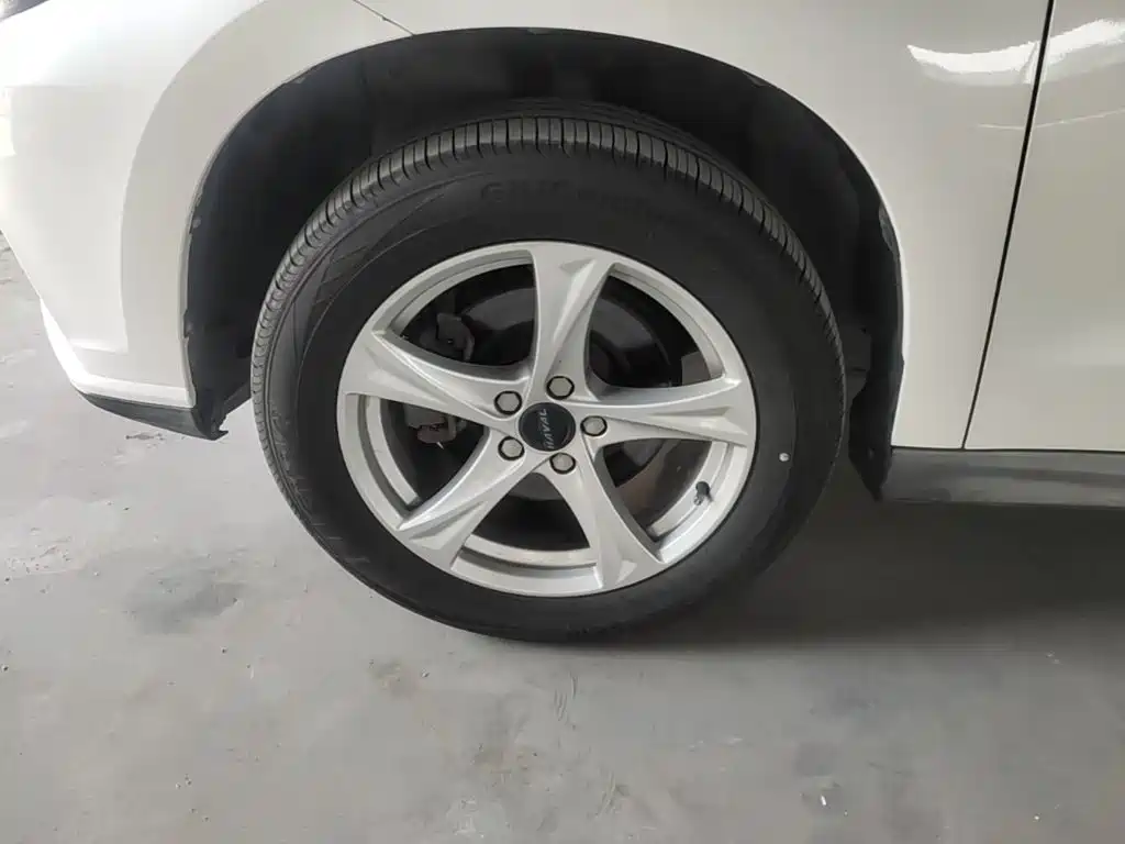 Photo 23 - Haval H2