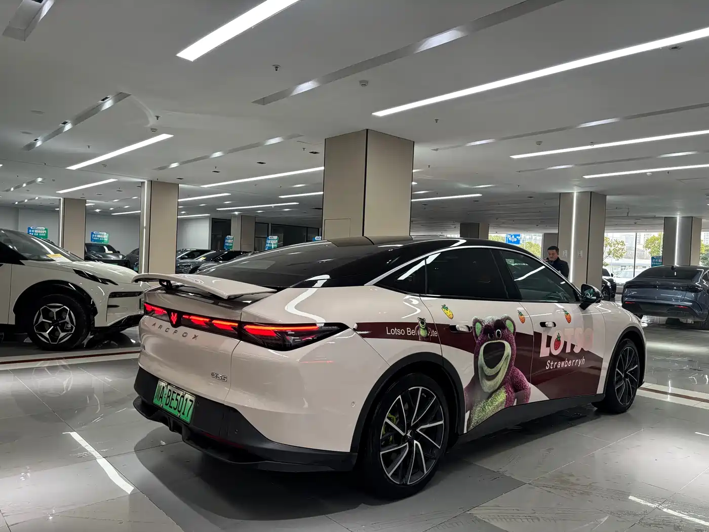 ARCFOX EXTREME FOX POLAR FOX ALPHA S5