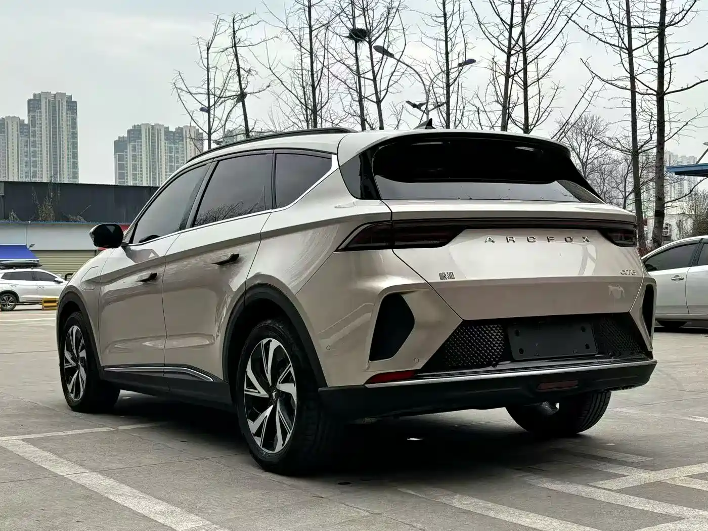 ARCFOX EXTREME FOX POLAR FOX ALPHA T6