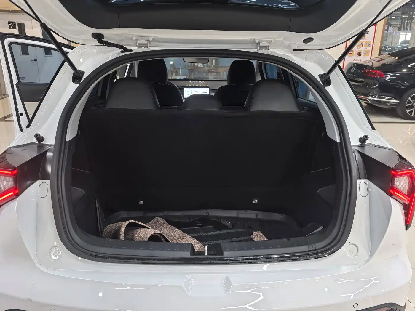 Geely Geometry E Firefly 2024 2024 Model 301km Starlight