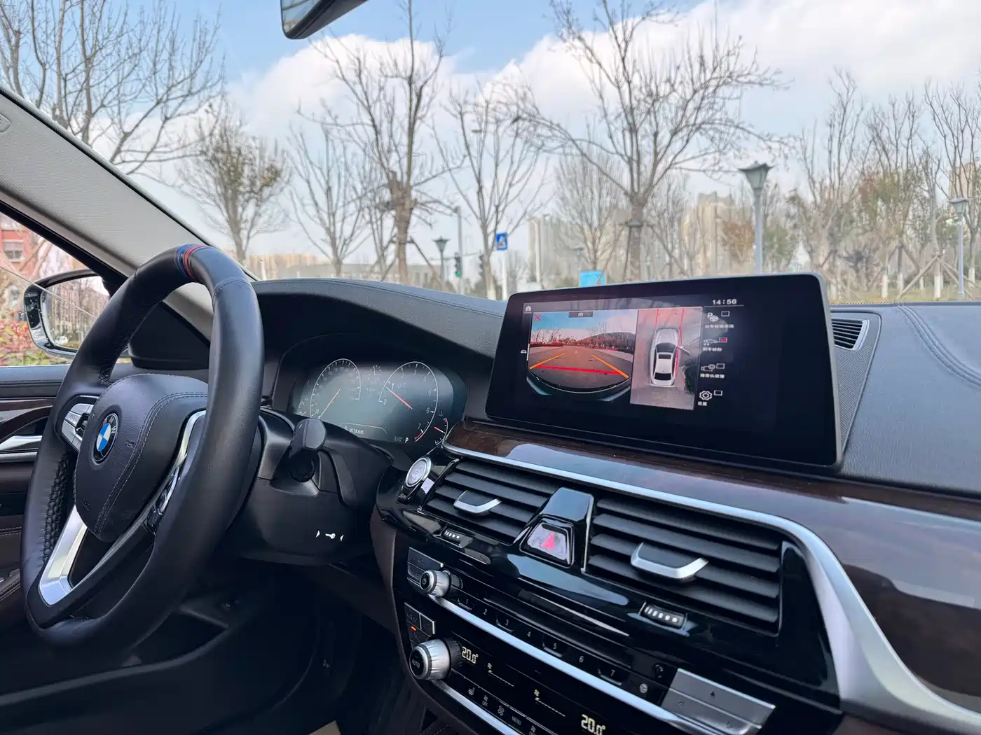 BMW 5 Series 2019 525Li Luxury Package фото 7