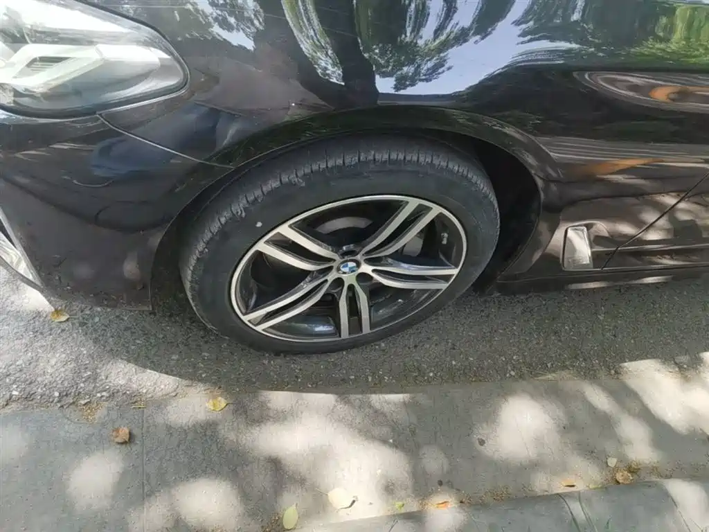 BMW 5 Series 2021 530Li Leading Luxury Package фото 23