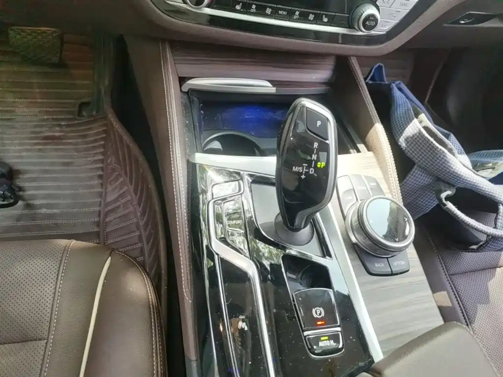 BMW 5 Series 2021 530Li Leading Luxury Package фото 14