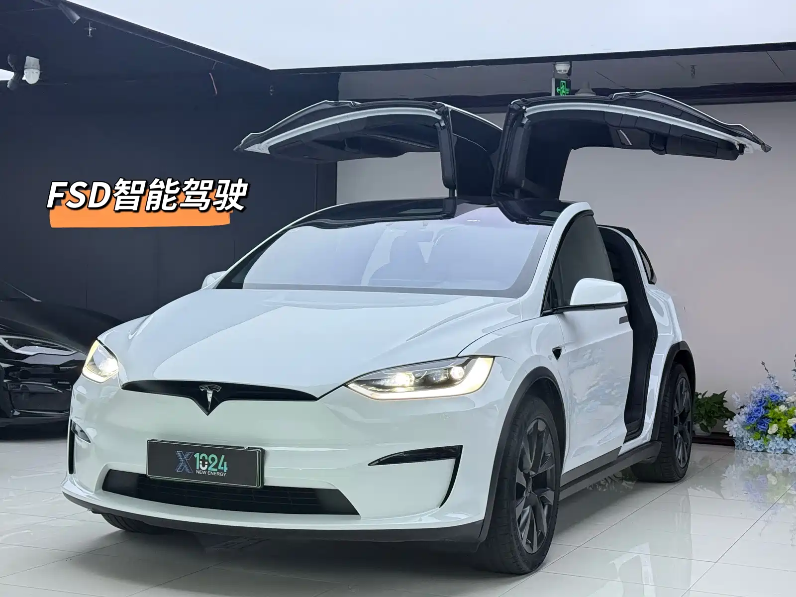 Фото 1 - Tesla Model X