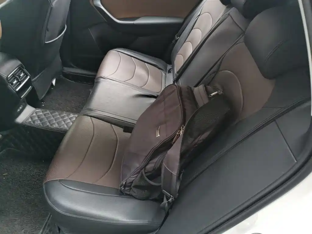 Škoda Kodiaq GT 2019 TSI330 2WD Luxury Edition China VI фото 24