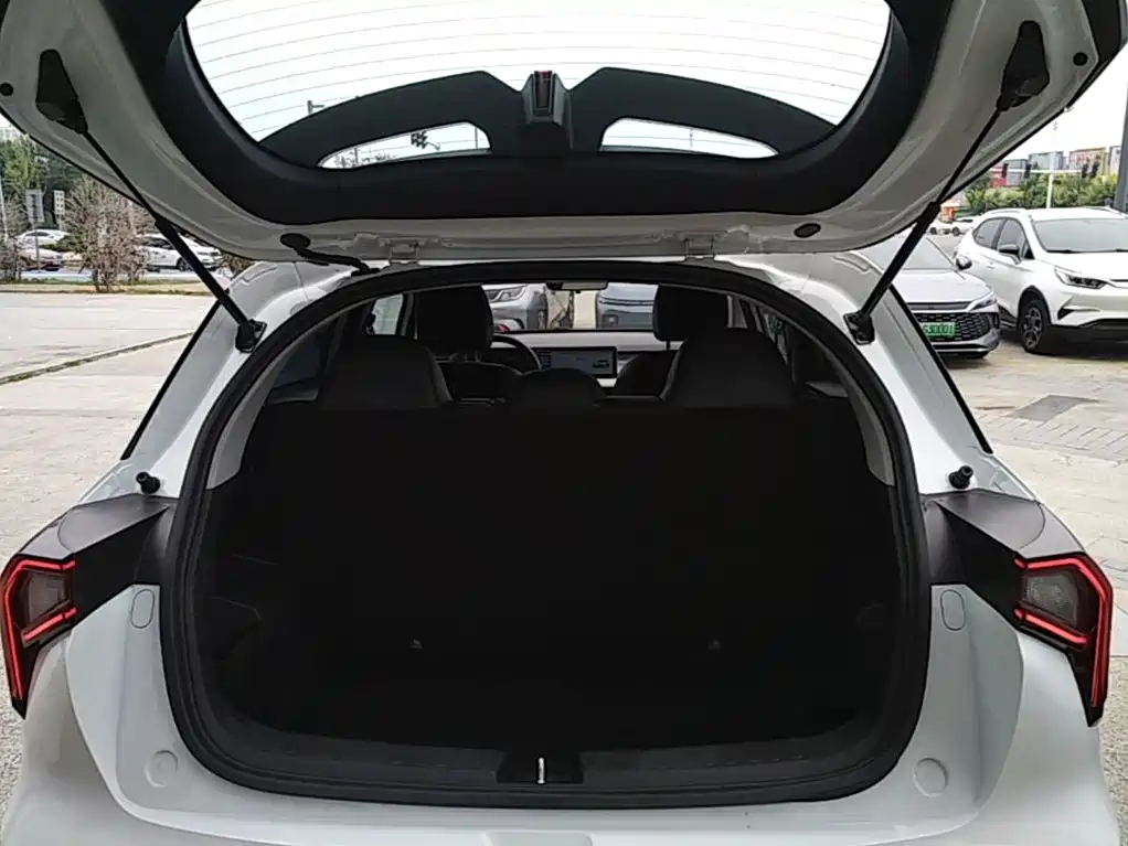 Geely Geometry E Firefly 2024 2024 Model 301km Starlight