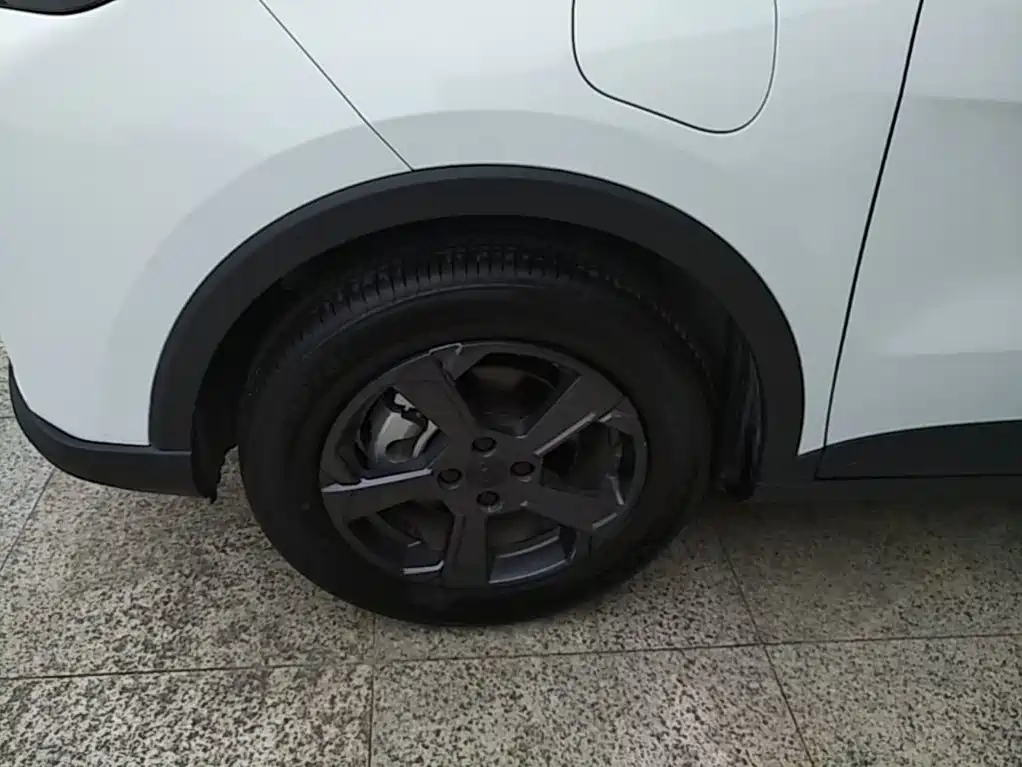 Geely Geometry E Firefly 2024 2024 Model 301km Starlight