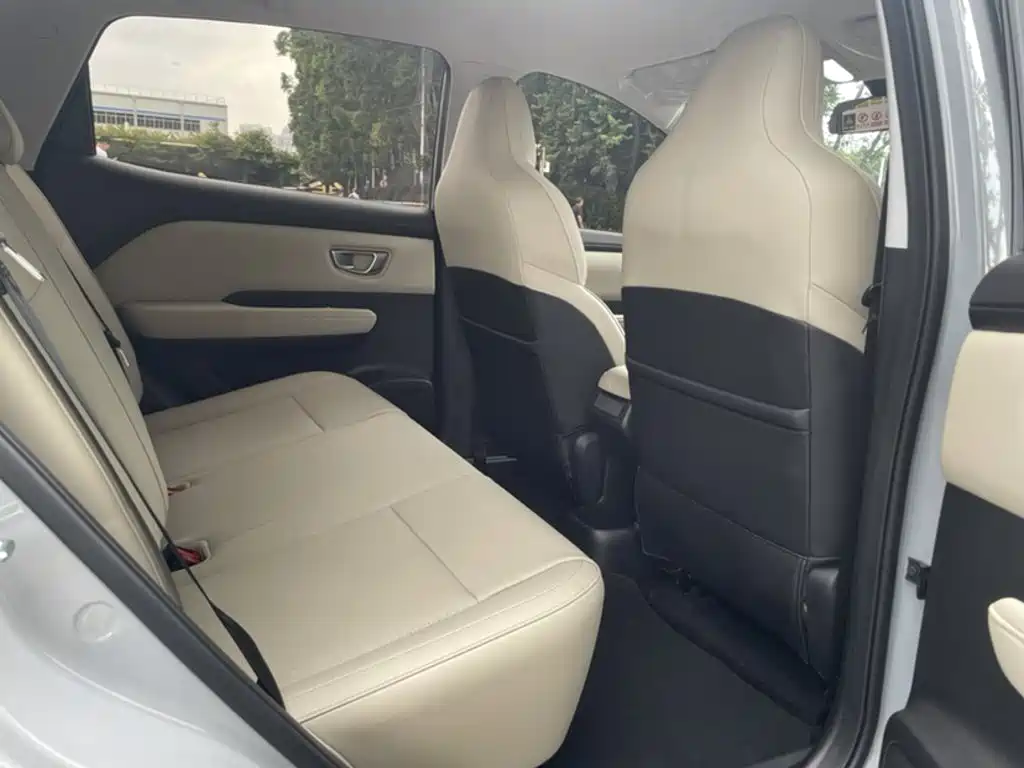 Wuling Motors Wuling Binguo PLUS 2026 2024 Model 330km 5-Seater
