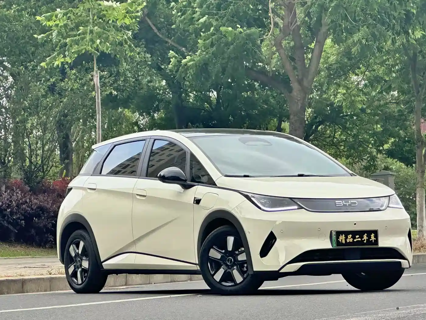 BYD Dolphin 2025 Smart Drive Edition 410km Fashion Version фото 5