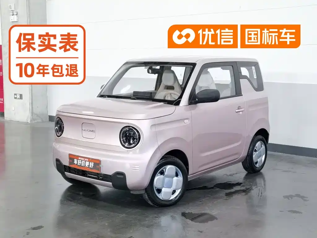 Geely Galaxy Panda 2024