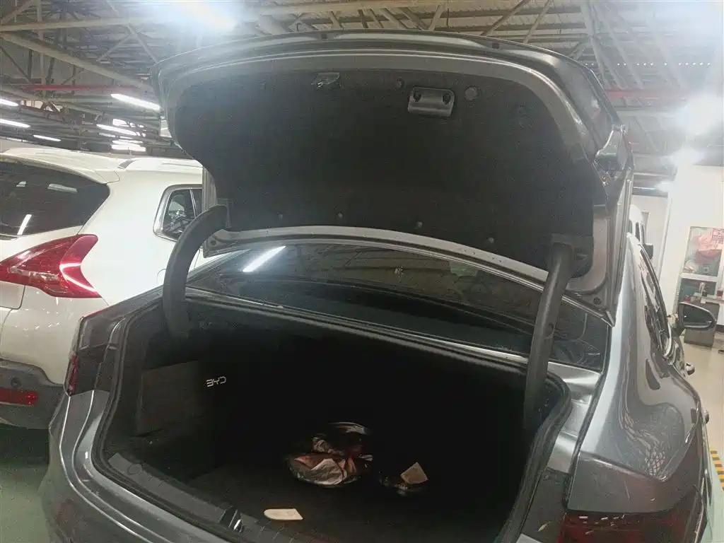 BYD Qin PLUS 2021 DM-i 120KM Flagship фото 9