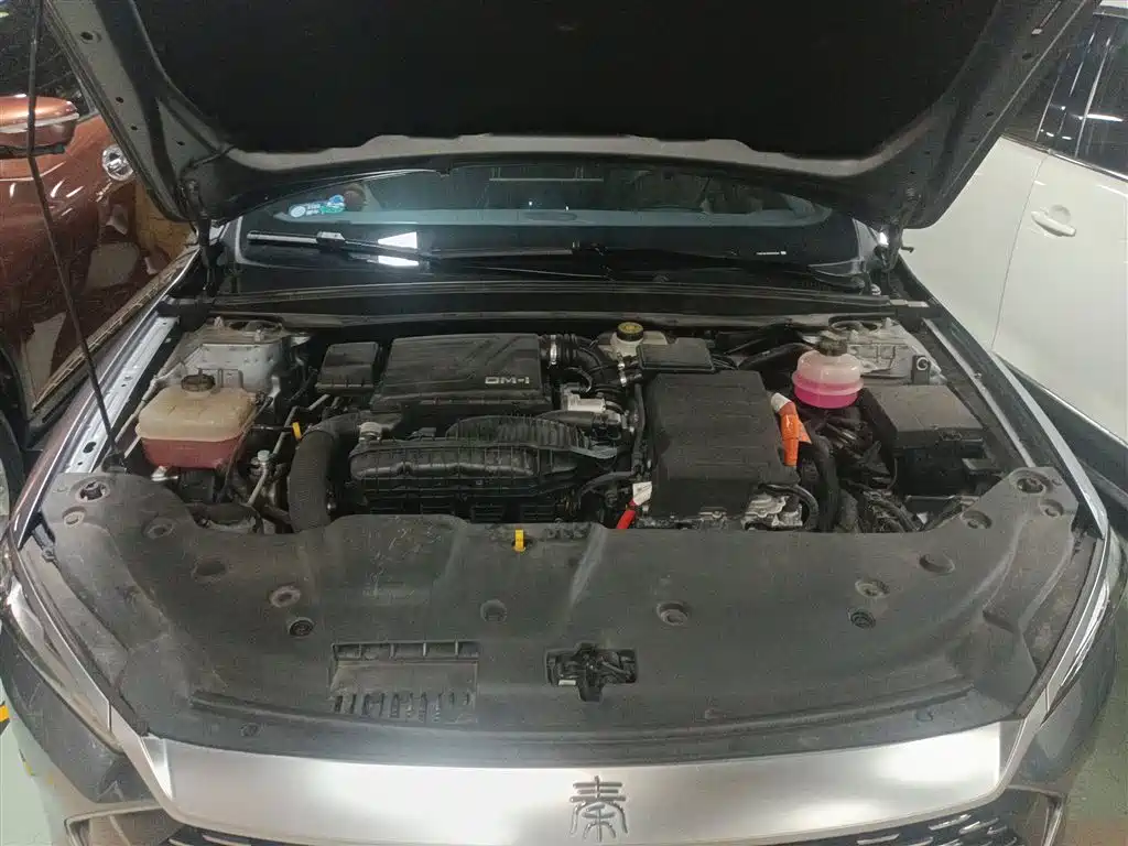 BYD Qin PLUS 2021 DM-i 120KM Flagship фото 10